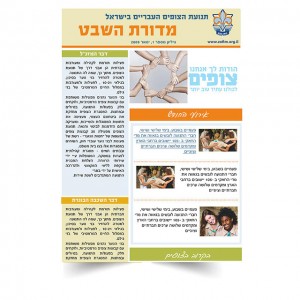 ניוזלטר מחלקת הכספים בתנועת הצופים ניוזלטר מחלקת הכספים בתנועת הצופים
