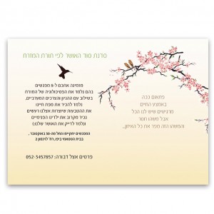 פלאייר לסדנת טרילותראפיה עם דבורה נבו פלאייר לסדנת התנסות בחוכמת הזן ובשיטת הטרילותראפיה, בהנחיית דבורה נבו