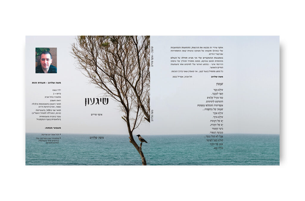 שגעון - ספר שירים